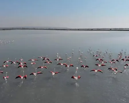 Apartamento Oro Del Sol 73 Torrevieja